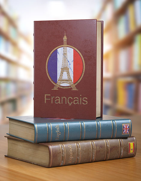 Higher Education in French